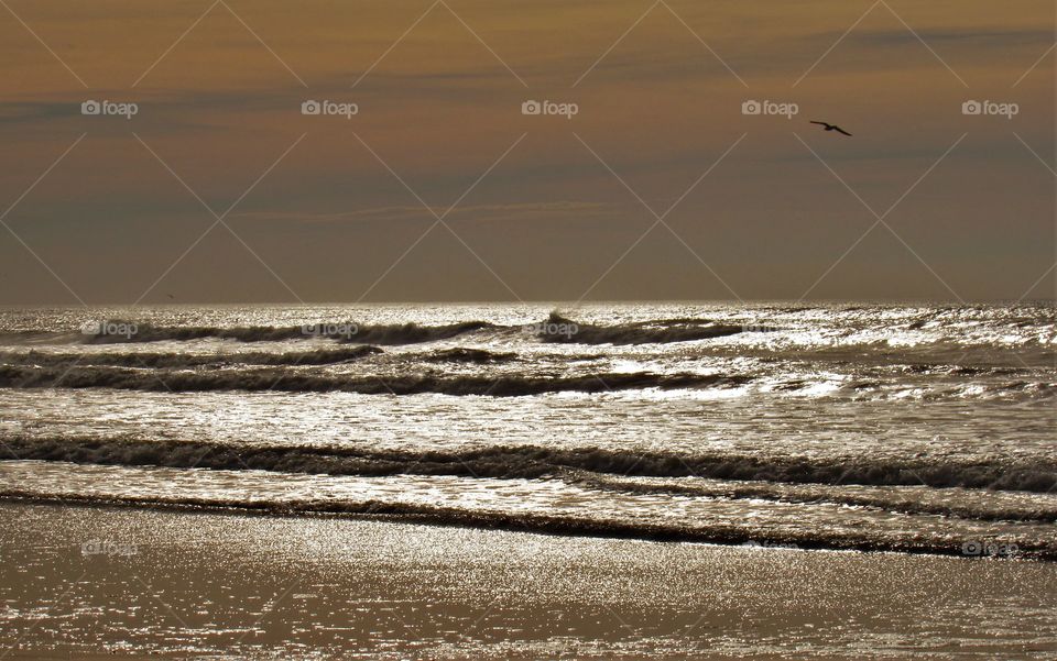 On the beach