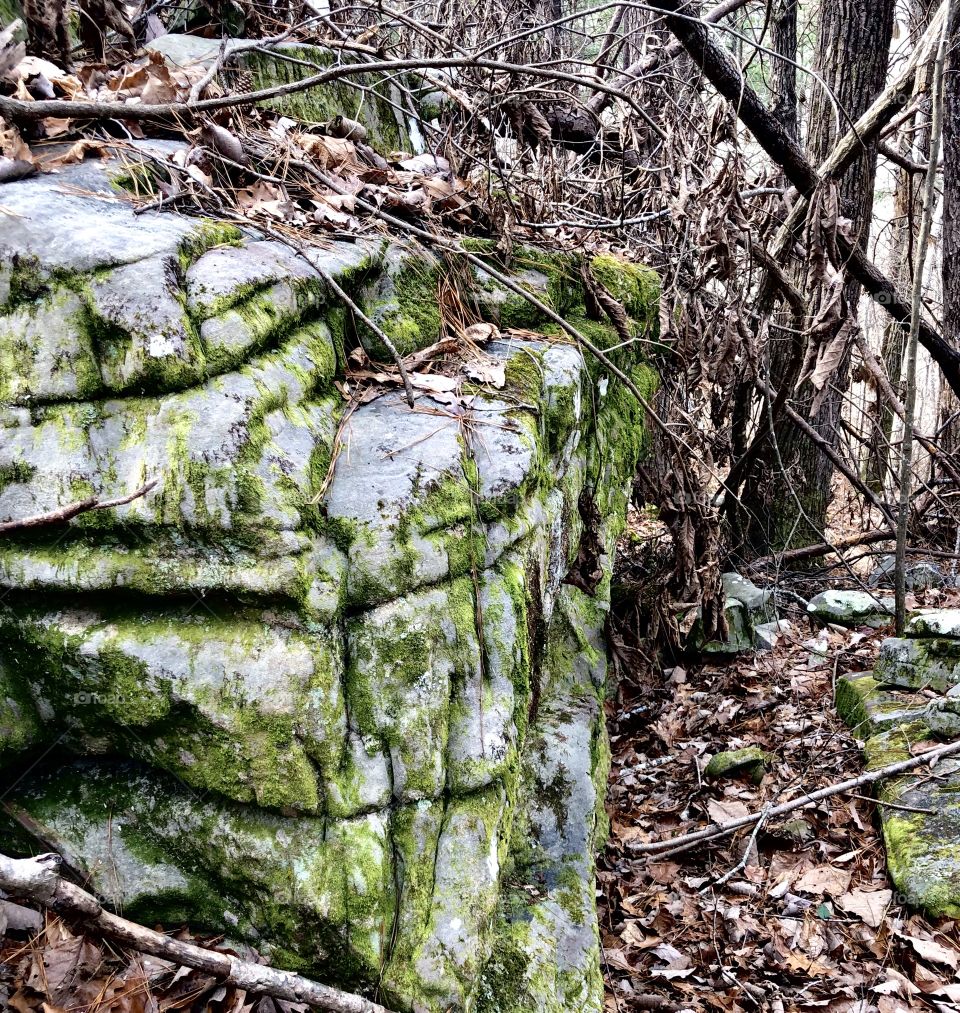 Mossy Boulder in forest 
