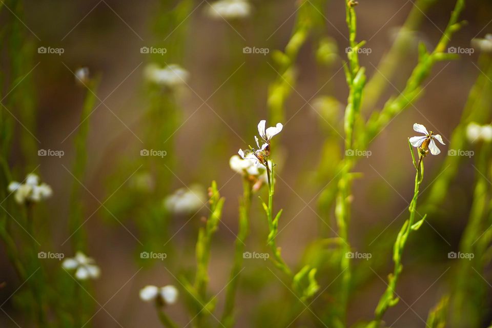 Editor’s choice. Photo of the week 