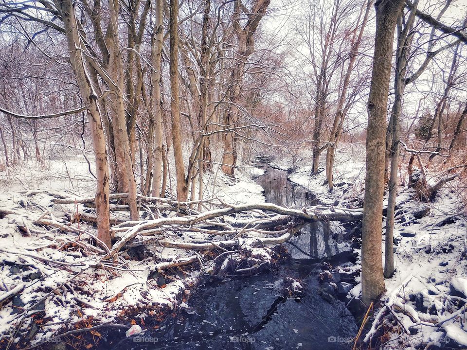 Bruce Brook..... hopefully the last snow 