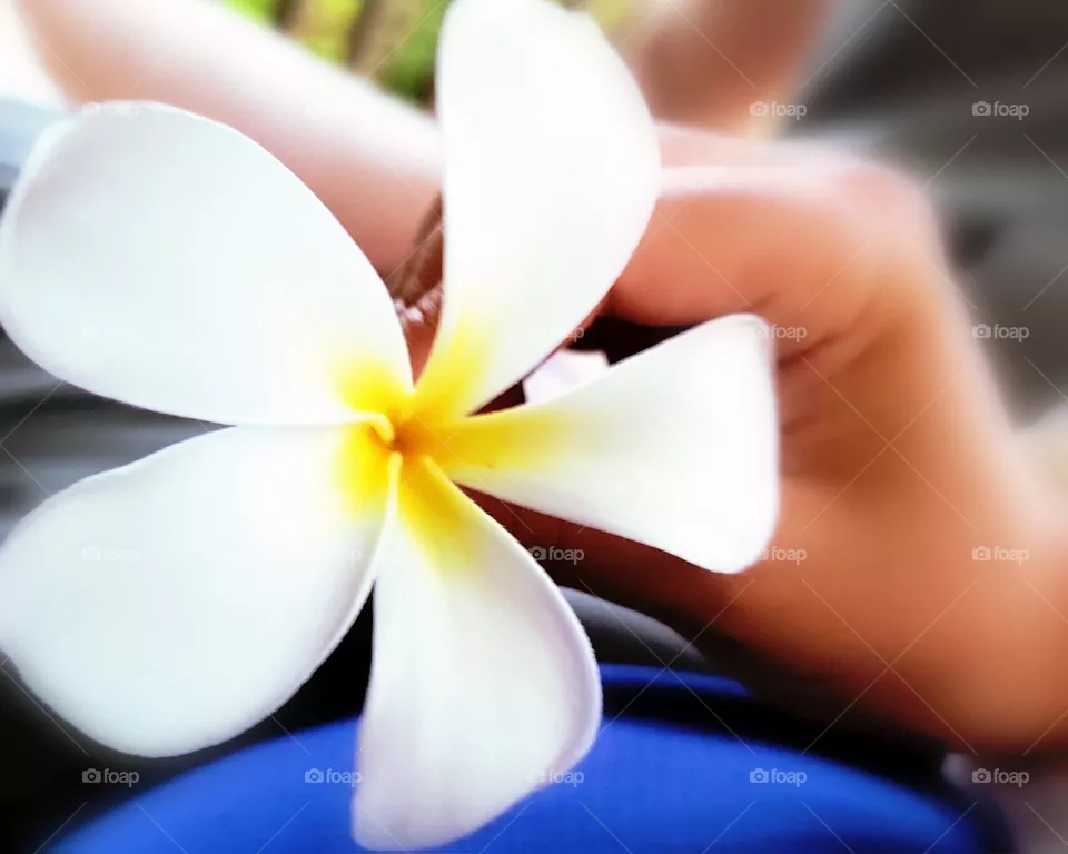 jasmine