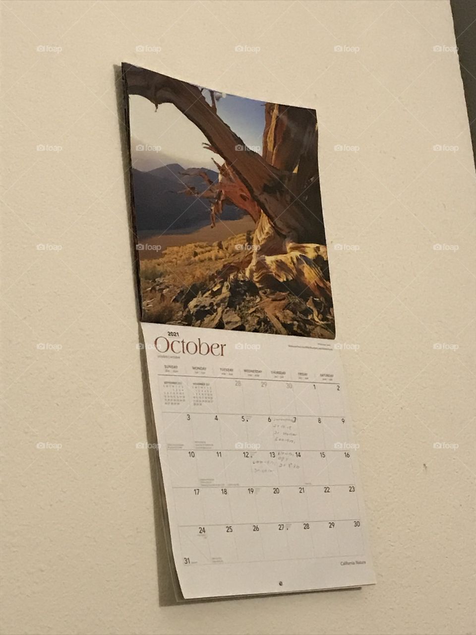 A calendar on the wall in one’s apartment home.