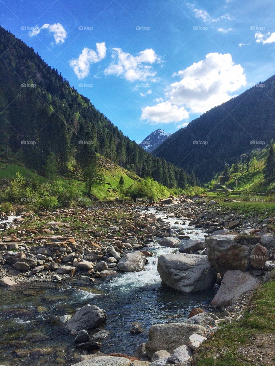 Mountain river in a valley