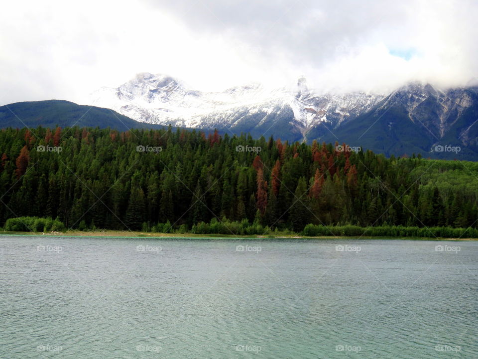 snow covered mountain with trees and water