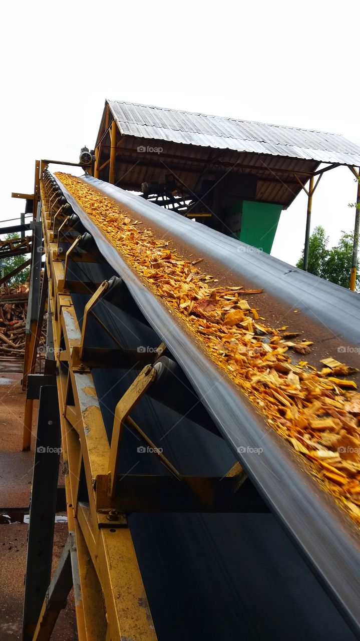Conveyor of wood chip