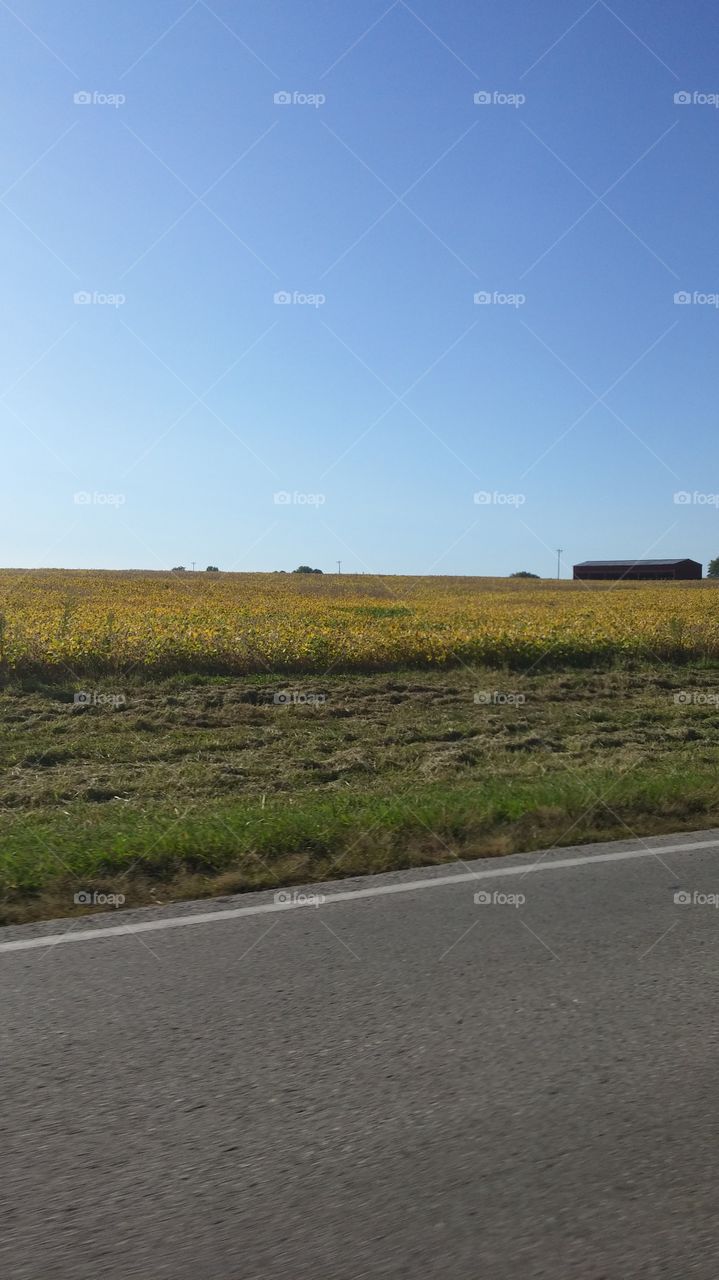 Landscape, Road, No Person, Farm, Travel