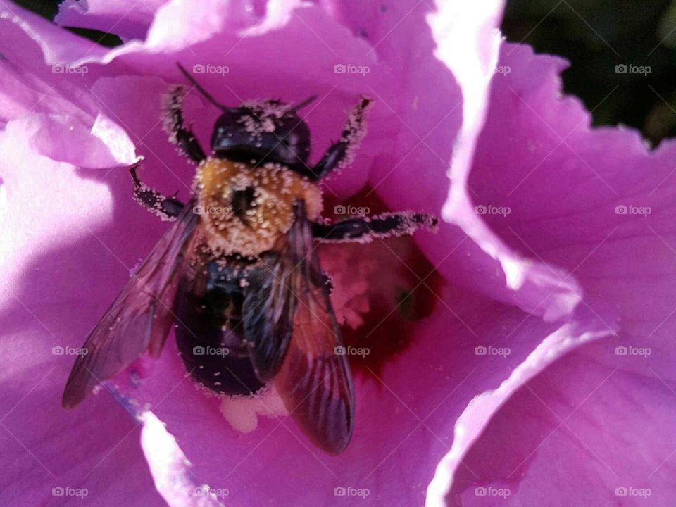 To close for comfort