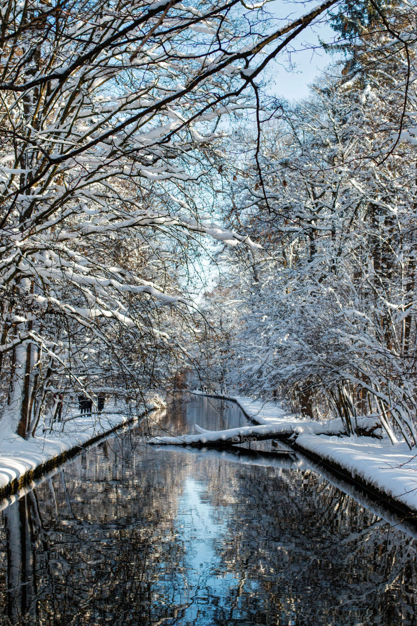 Stream flowing through frozen forest