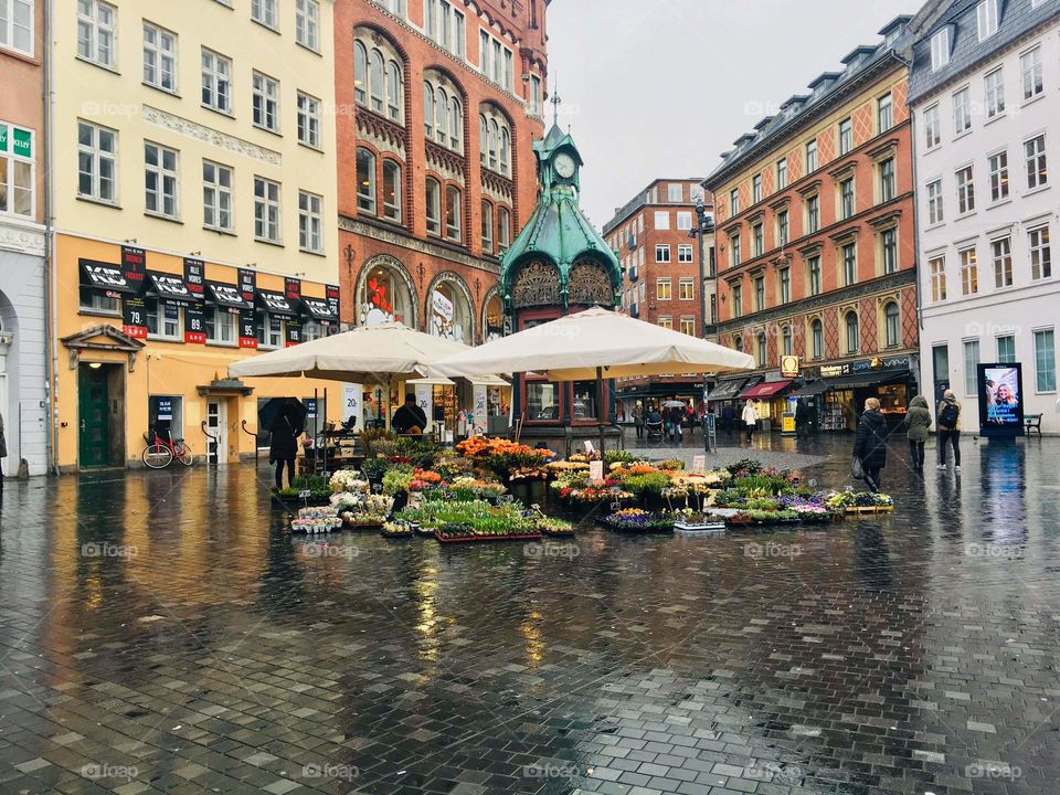 Streets of the Copenhagen