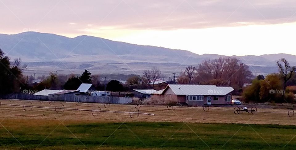 homestead Montana