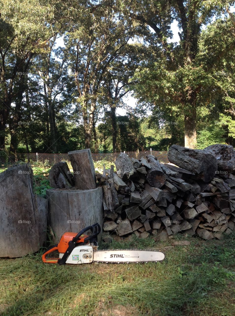 Stihl Chainsaw on a Mission