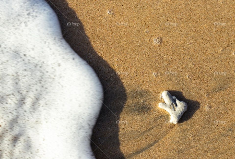 A beautiful sunny morning on the beach where waves crashing on to the beach creating gorgeous white foam with a washed up white coral on the golden sand. Another day in tropical paradise Sri Lanka.