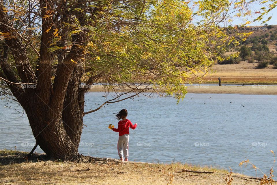 by the lake,  resting under the tree