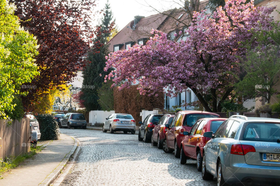 German cobblestone street