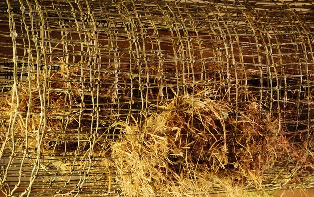 Farm Fence