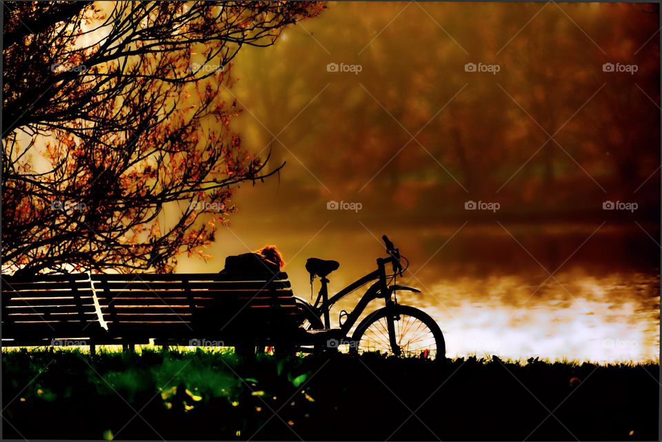 bicycle in the park