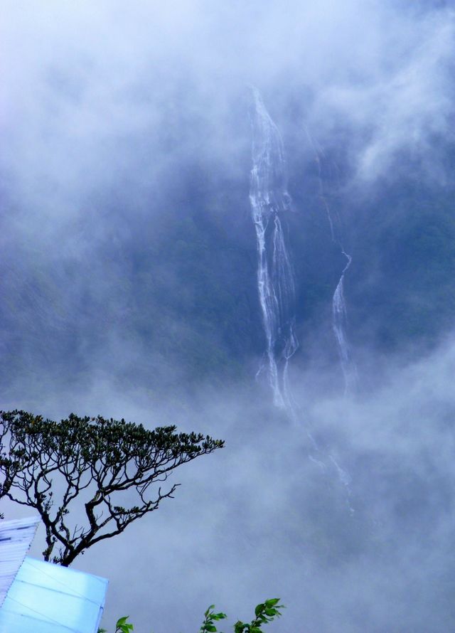 Through the mist
