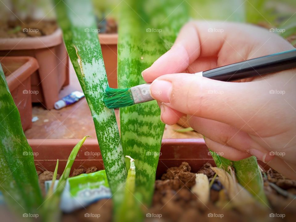 a hand of a child drawing on a green plant