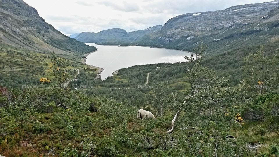 The rough nature in Norway