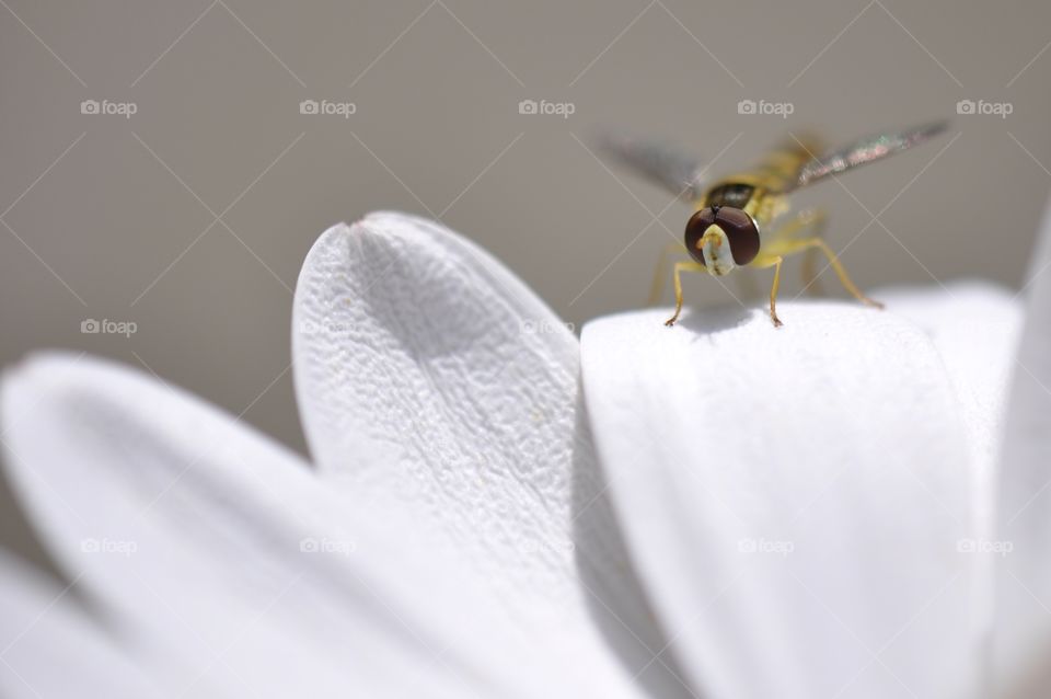 Sudden appearance! Beauty. 