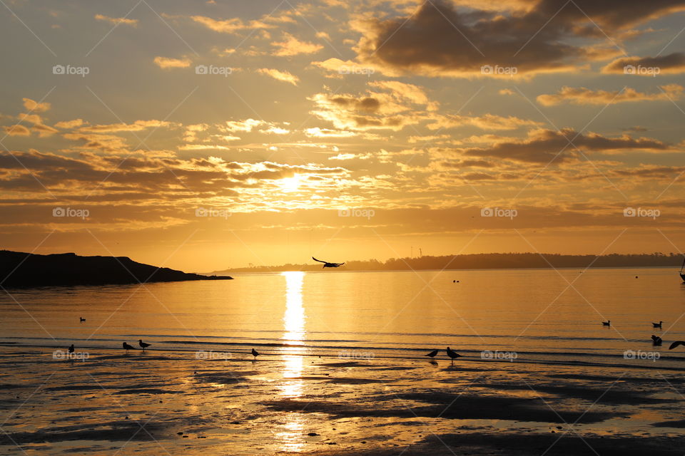 Golden hour on the beach