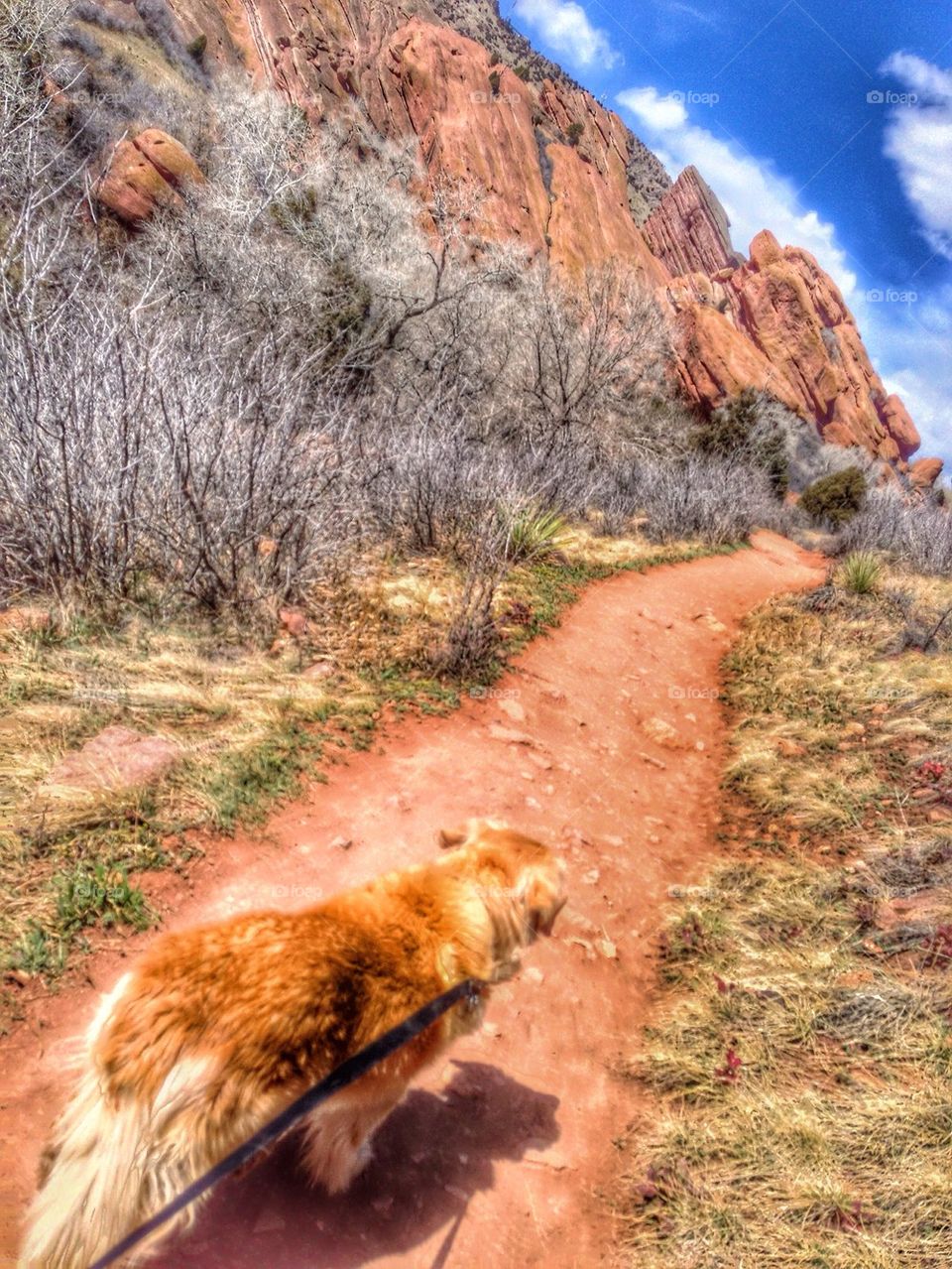 Red Rock Path