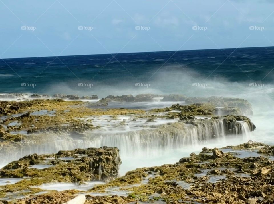 Wild side of the Caribbean 