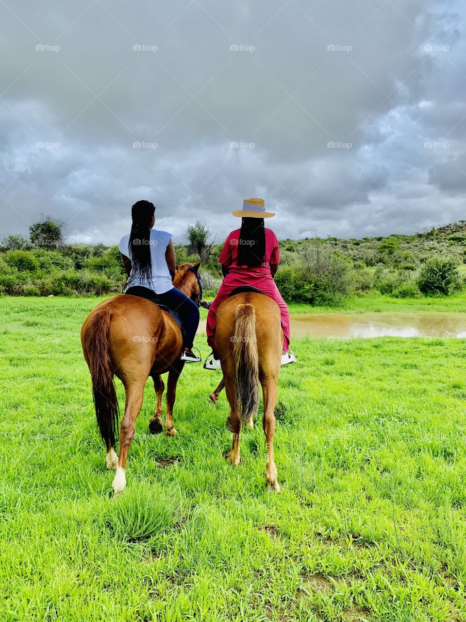 Strolling around the farm after a good rain. Horse riding on the farm is the best morning activity to brighten up your day.