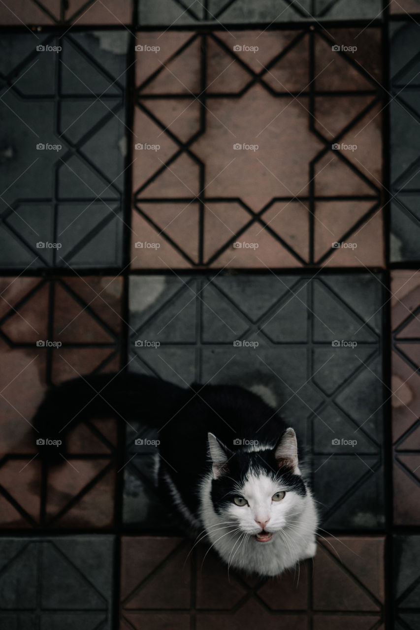 Is Lucia going to make it?