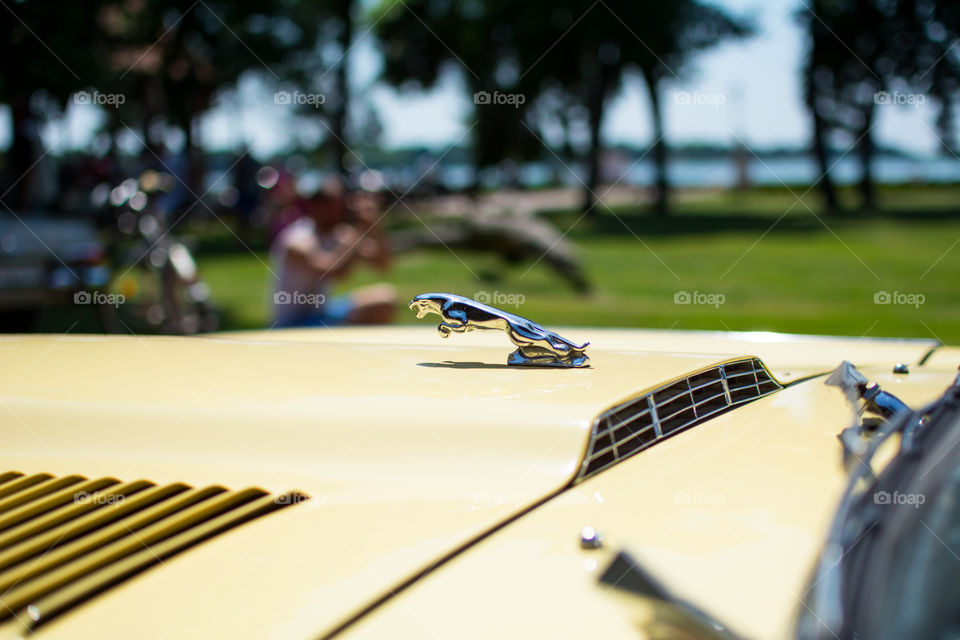 Jaguar badge on oldtimer show. Subotica, july 5th 2015. Jaguar E-type