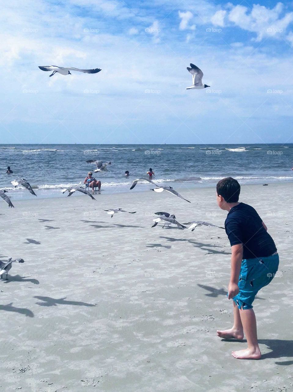 Feeding seagulls