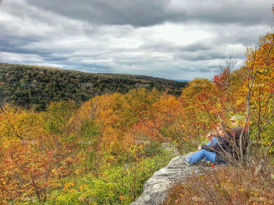 Scenic forest overlook in autumn.