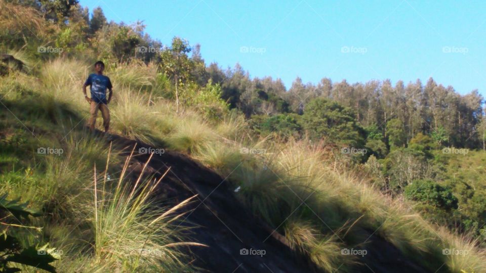 Yerkad . Yerkad forest tamilnadu