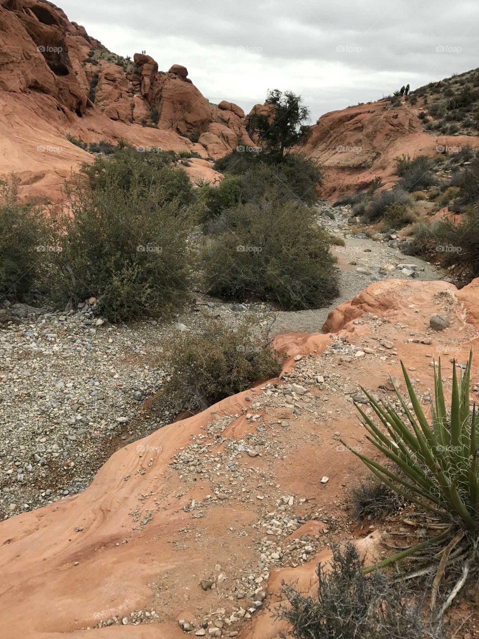 Red Rock