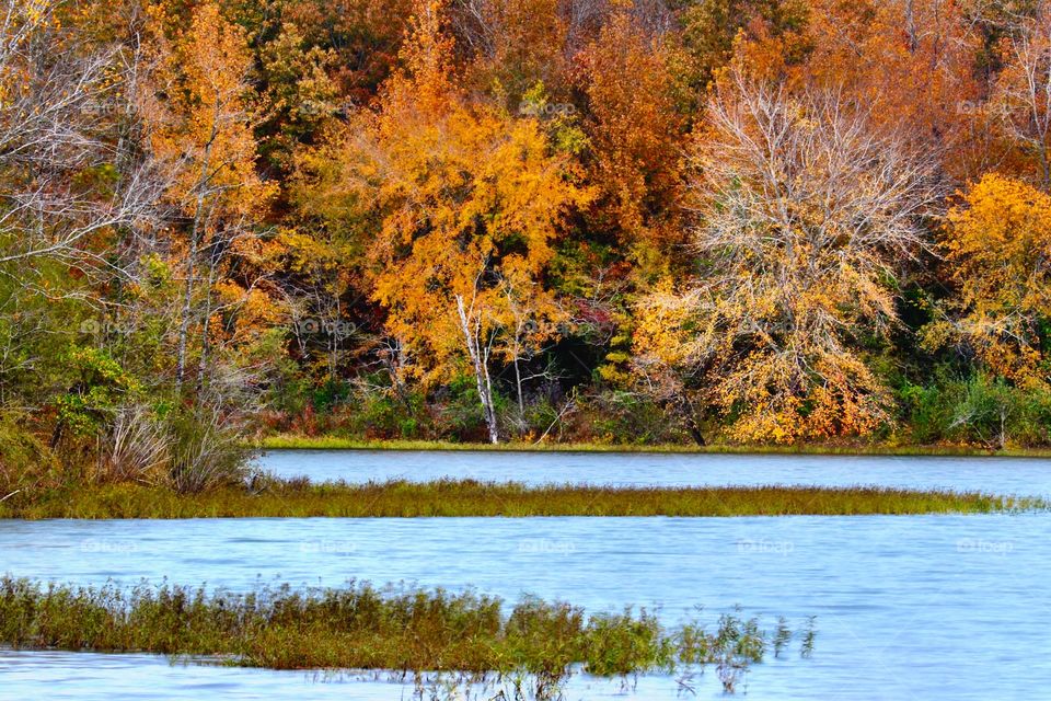 Lake Girardeau looks great in the fall!! 