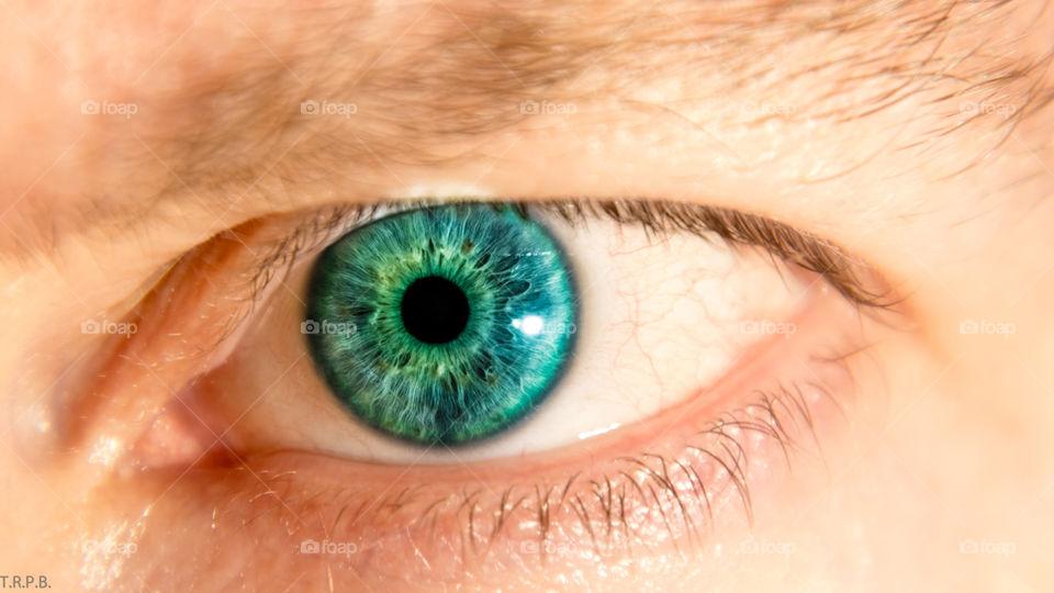 Close-up of green eye