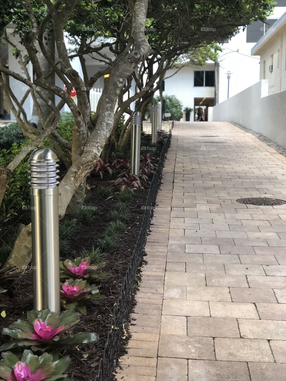 Pathway to everything 