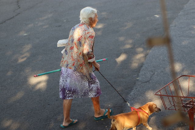 walking with a dog
