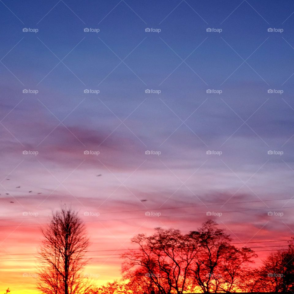 Sun going down over the horizon.