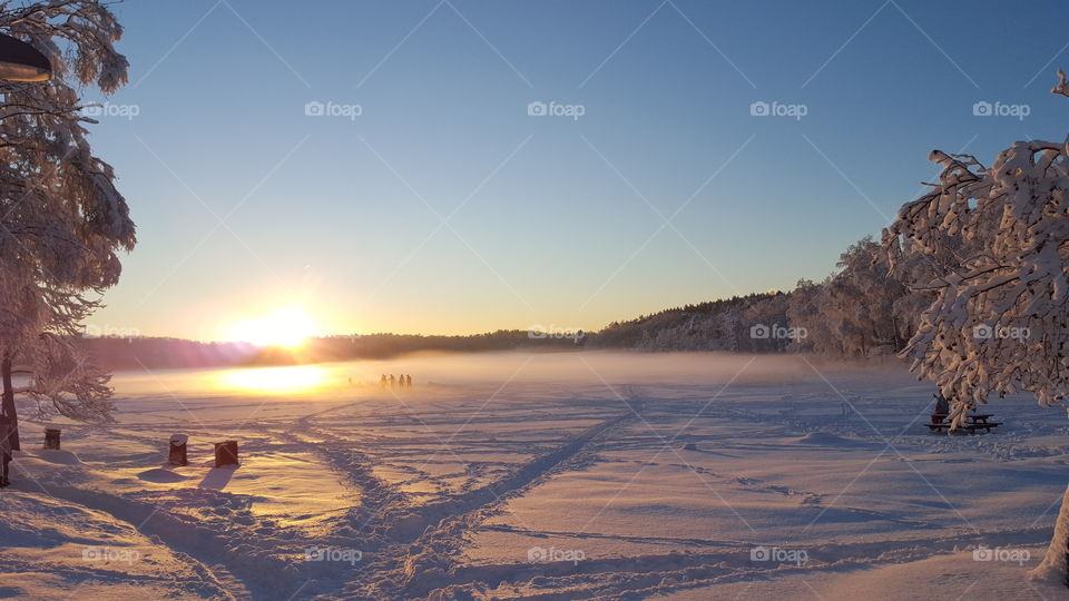 Sun reflecting on the snowy land