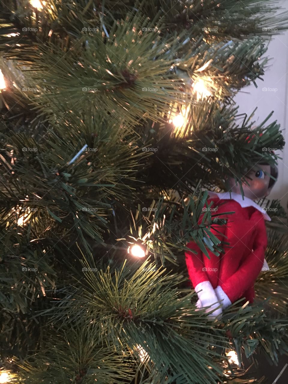 Close up of Elf in Christmas Tree