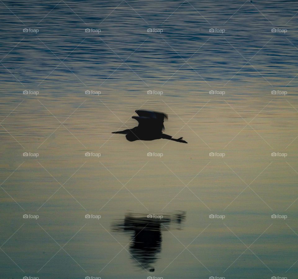 Reflection on Flying