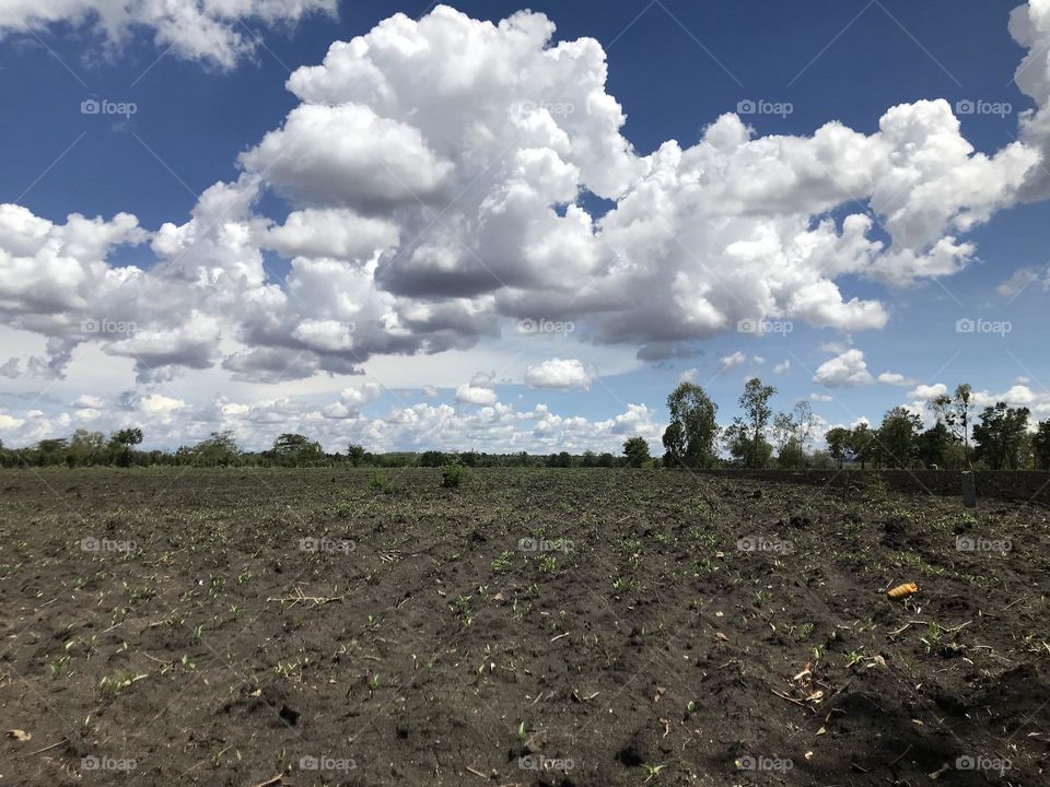 sky Cloud   environment soil plain Land Nature Plant horizon scenics - nature   rural area no people Agriculture