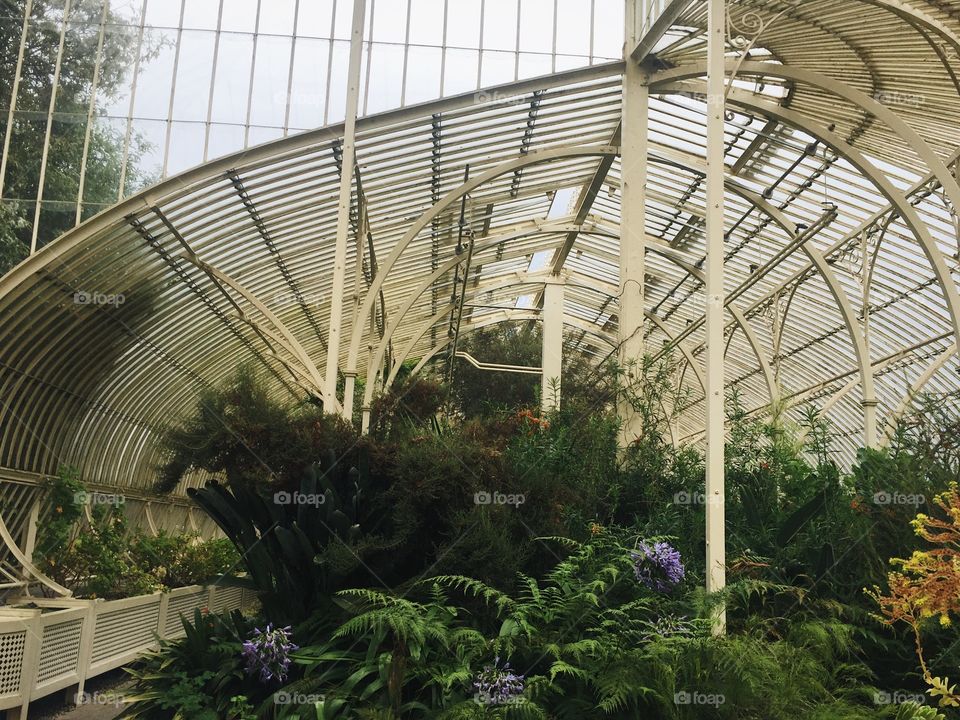 Greenhouse, Architecture, Modern, Building, Construction