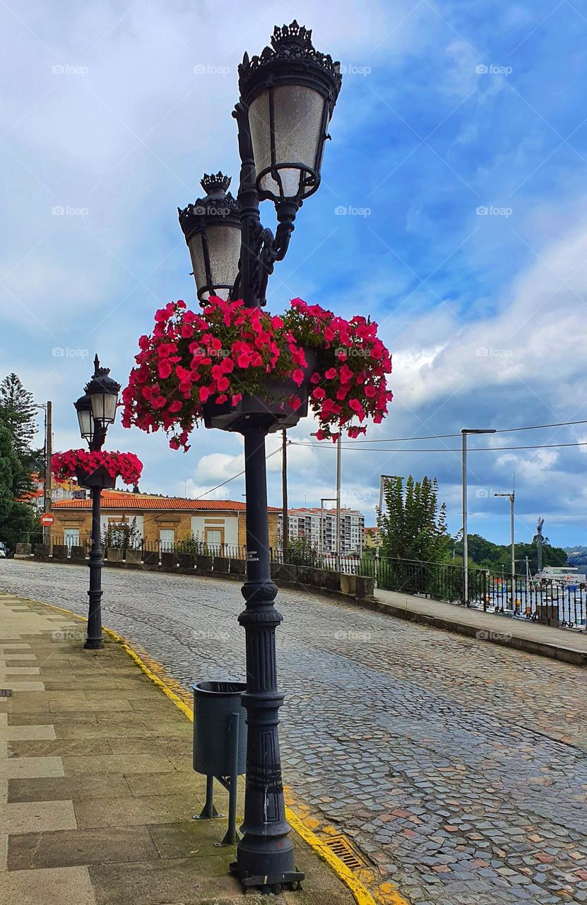 City flowers