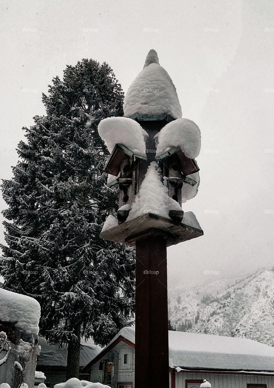 House for rent. Tenants flew the coup.