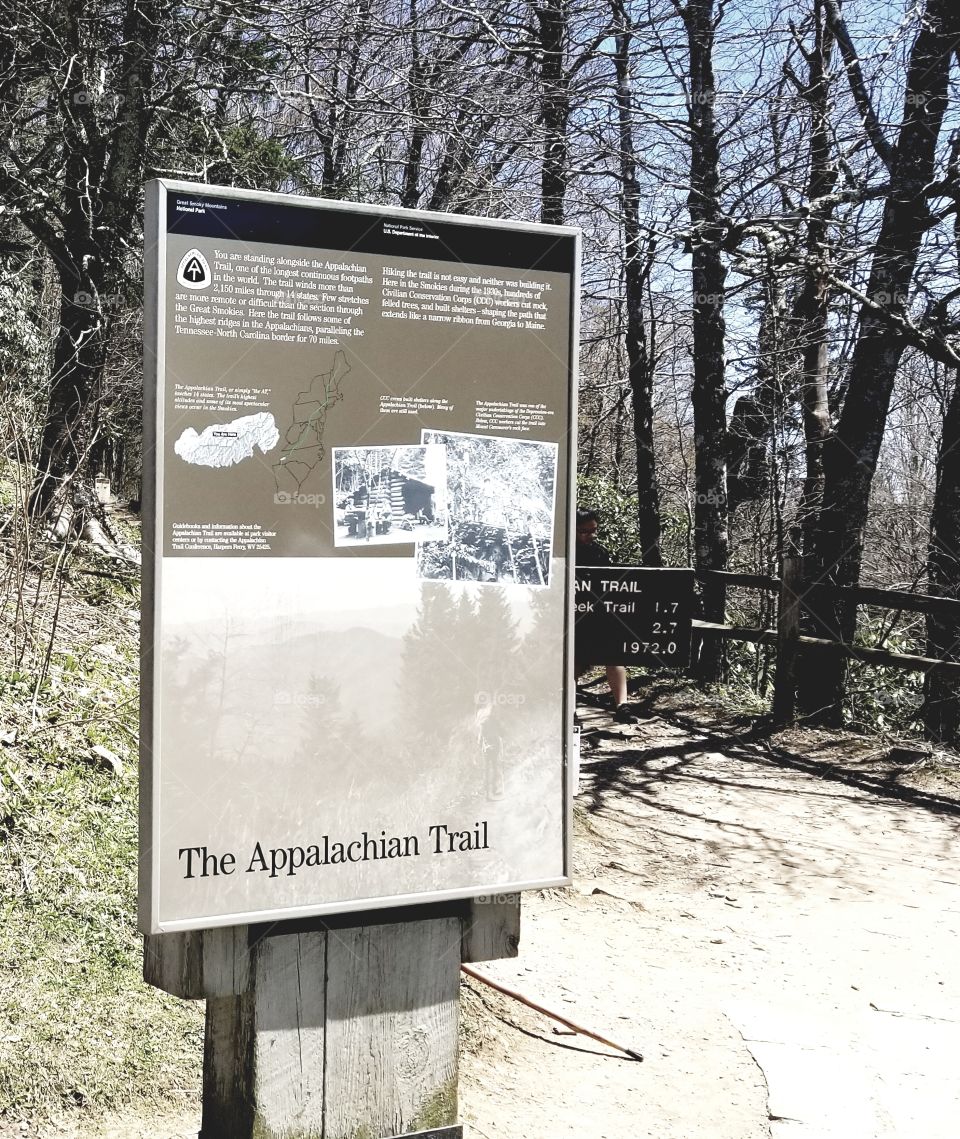 Sunny days of hiking the iconic wooded Appalachian Trail for adventure & bucket list item knockoff. Great Smoky Mountains national Park, Newfoundland Gap.