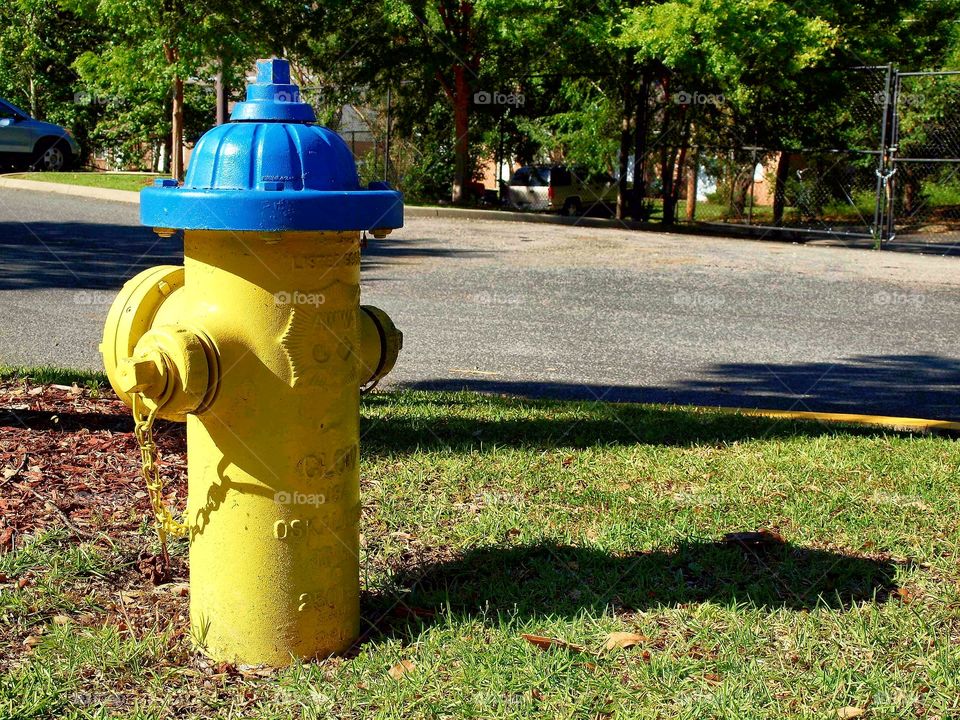 Fire hydrant - Tallahassee Fl. /Olympus E620