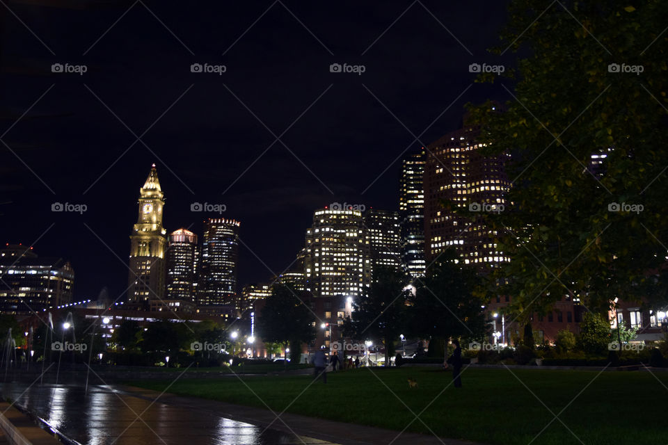 Boston nighttime silhouette