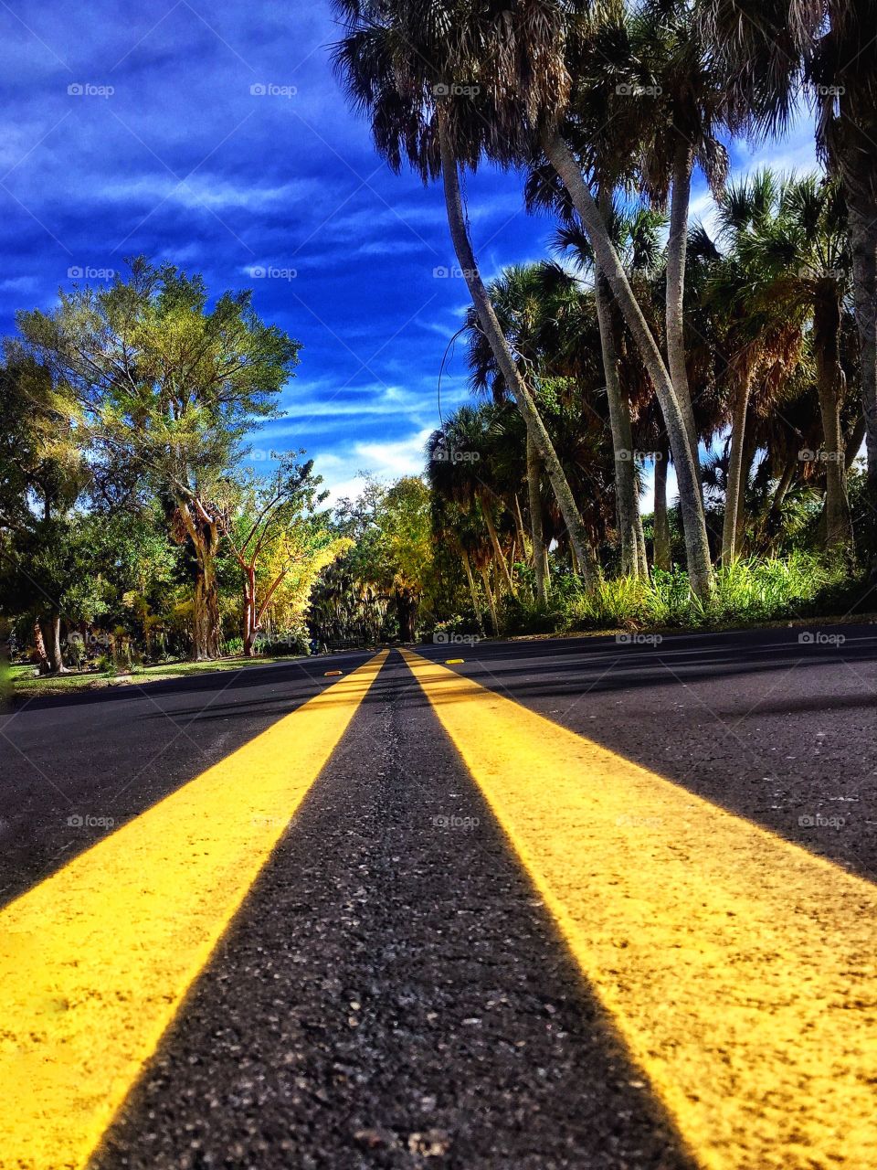 Middle of road view 